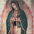 Virgen de Guadalupe: Estrella de la nueva evangelizacion